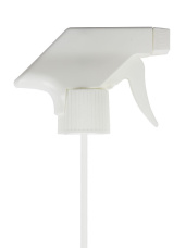 Photo1