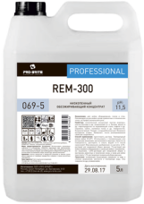 069-5_rem-300_250_auto_png_5_80