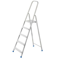 stremyanka_stalnaya_5_stupeney_1_pic